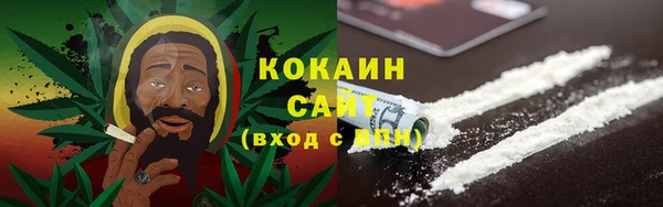 ПСИЛОЦИБИНОВЫЕ ГРИБЫ Абаза