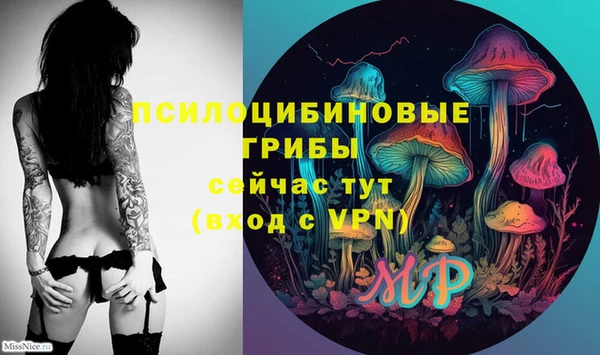 МДПВ Абинск