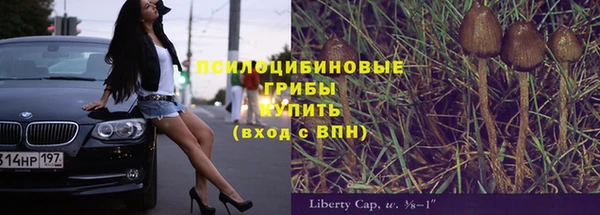 МДПВ Абинск