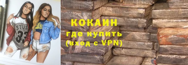 ПСИЛОЦИБИНОВЫЕ ГРИБЫ Абаза