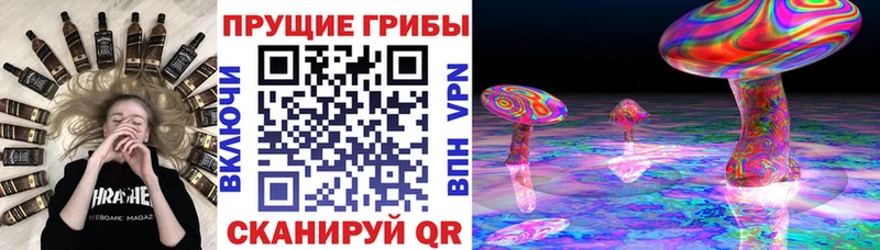 Галлюциногенные грибы Psilocybine cubensis  Липецк 